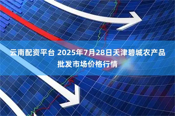 云南配资平台 2025年7月28日天津碧城农产品批发市场价格行情